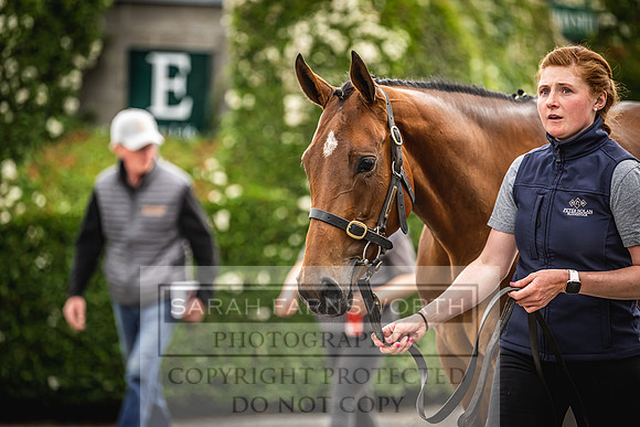 Goffs Land Rover Sale 2022-302
