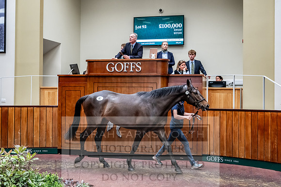 Goffs UK Spring Sale 2024-137
