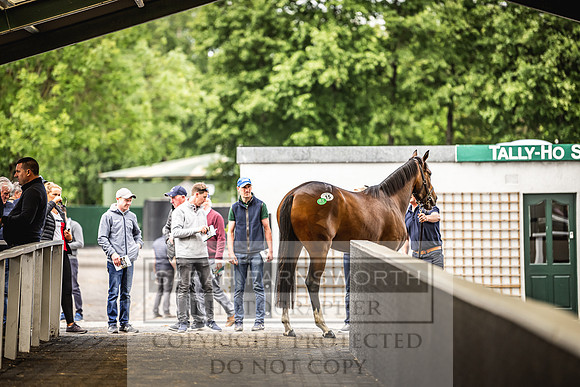 Goffs Land Rover Sale 2022-183