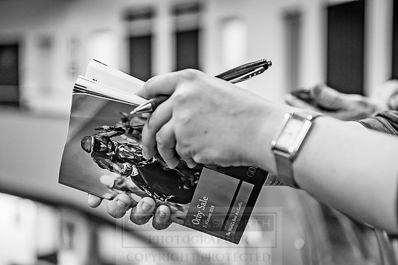 Goffs Orby 2018 Day 2-78