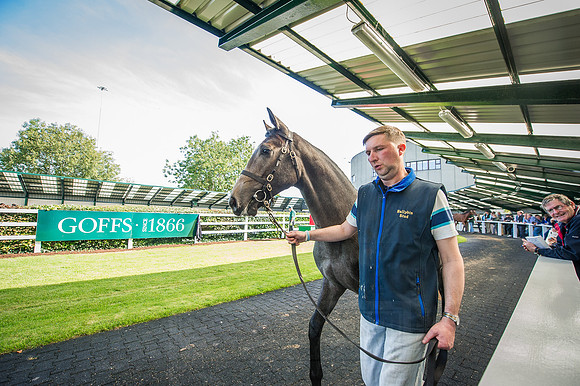 Goffs Orby 2015 -314