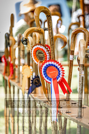 Rydal Hound Show 2022-125