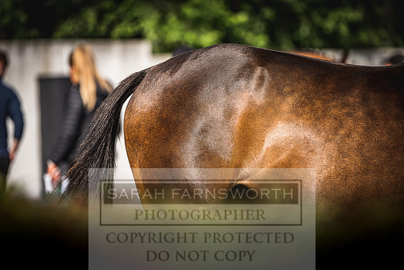Goffs Land Rover Sale 2022-159