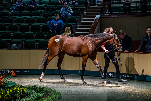 Goffs Orby 2018 Day 1-308