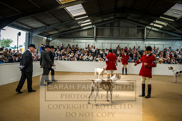 PFoH 2016-457