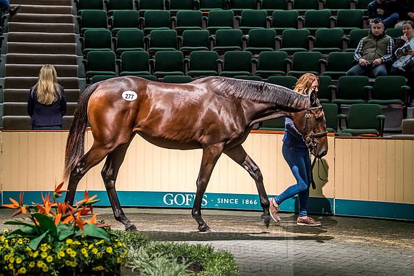 Goffs Orby 2018 Day 2-108