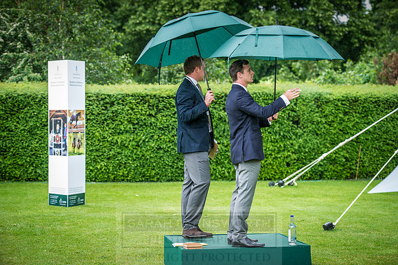 Goffs London Sale 2016-343