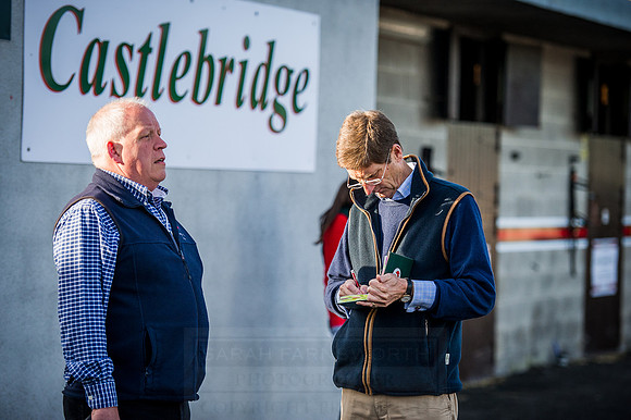 Goffs Orby 2015 -162