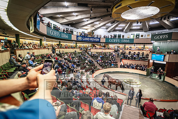 Goffs Land Rover Sale 2022-290