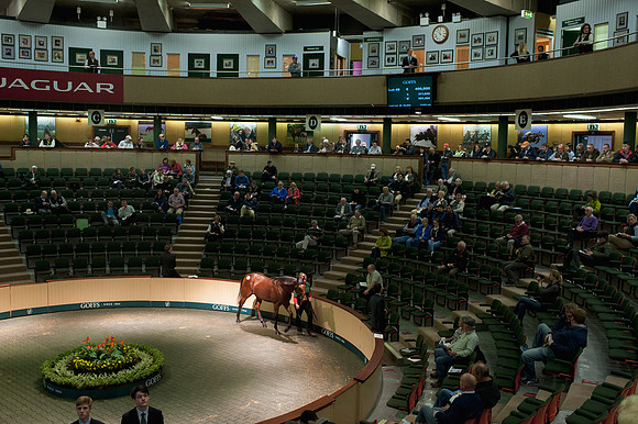 Goffs Orby14 CF4 233