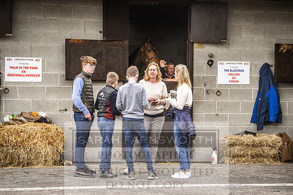 Goffs Land Rover Sale 2022-335