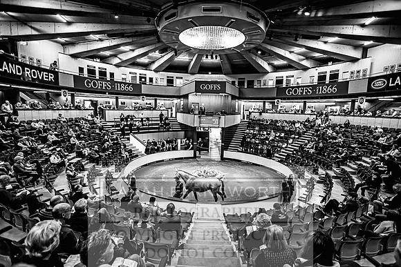 Goffs Land Rover Sale 2022-282