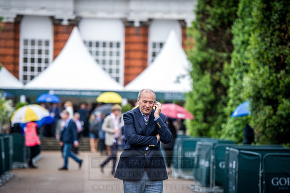 Goffs London Sale 2016-233