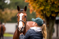 Goffs Orby 2018 Day 1-20