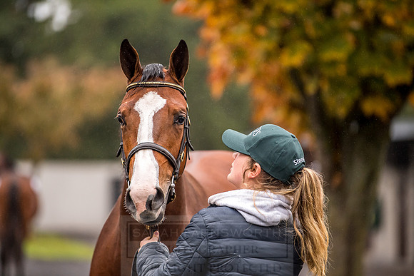 Goffs Orby 2018 Day 1-20