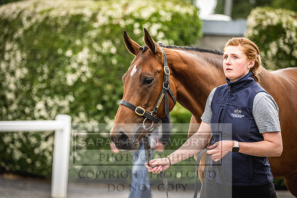 Goffs Land Rover Sale 2022-303