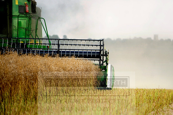 combining r-oil 034
