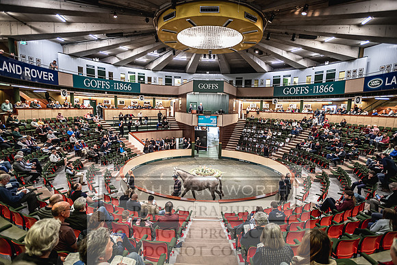 Goffs Land Rover Sale 2022-283
