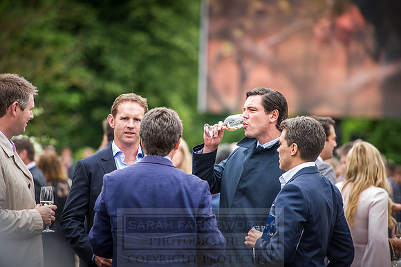 Goffs London Sale 2016-106
