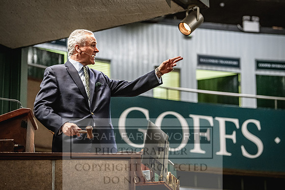 Goffs Land Rover Sale 2022-216