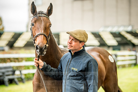 Goffs Orby 2018 Day 2-133