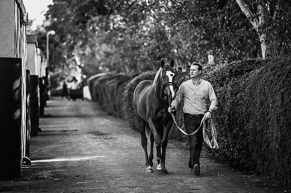 Goffs Orby 2015 -386 bw