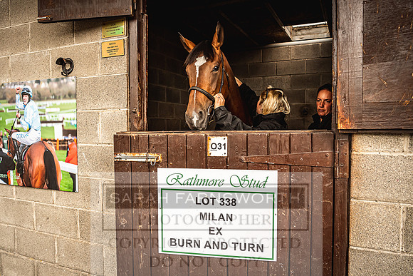 Goffs Land Rover Sale 2022-528