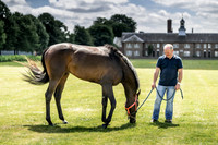 Goffs London Sale 2019-3