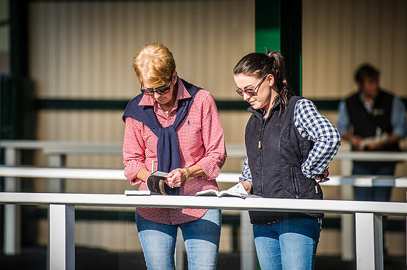 Goffs Orby 2015 -528