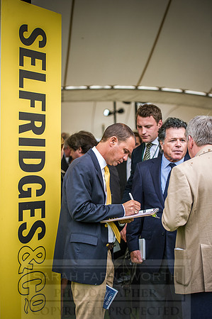 Goffs London Sale 2016-351