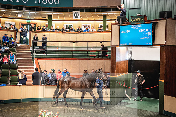 Goffs Land Rover Sale 2022-655