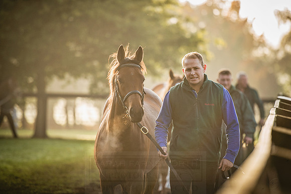 Goffs Orby 2015 -462