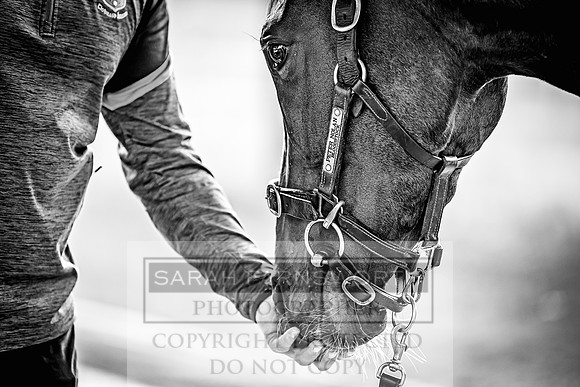 Goffs Land Rover Sale 2022-114