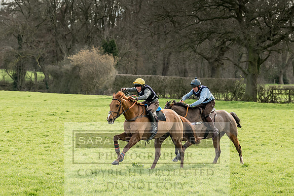 Wynnstay Hunt Ride 2019-62