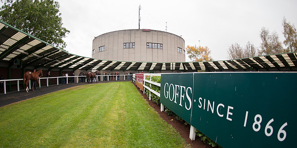 Goffs Orby14 CF6 092