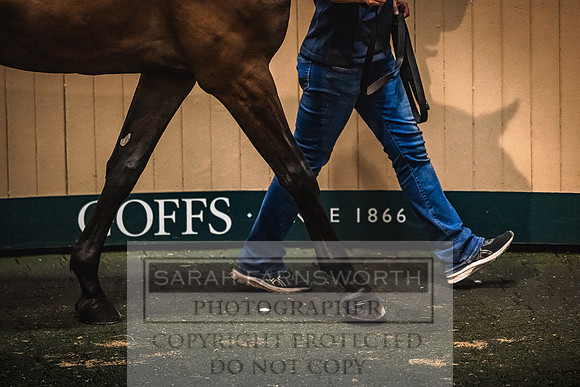 Goffs Land Rover Sale 2022-618