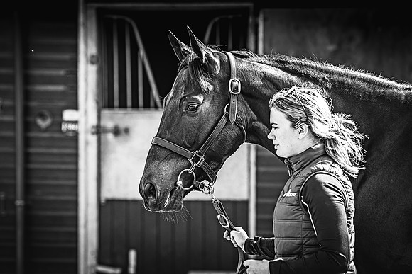 Goffs UK Spring Sale 22 Day 2-24