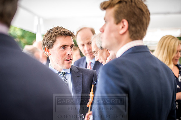 Goffs London Sale 2016-260