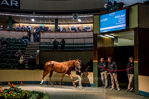 Goffs Orby 2018 Day 1-439