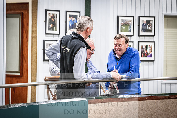 Goffs Land Rover Sale 2022-408