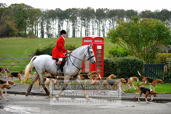 Brocklesby 021113 CF3 971