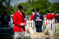 Ardingly Foxhounds 2015-11