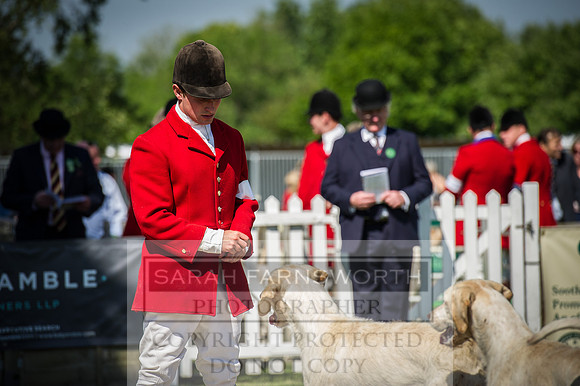 Ardingly Foxhounds 2015-11