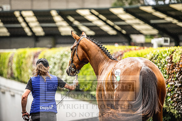 Goffs Land Rover Sale 2022-583