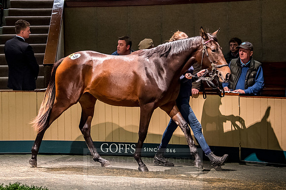 Goffs Orby 2018 Day 1-317
