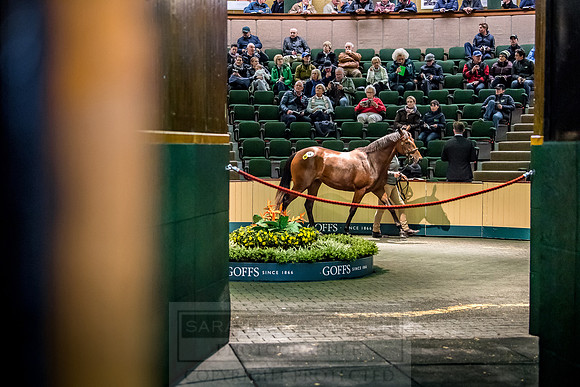 Goffs Orby 2018 Day 1-184