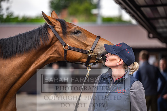 Goffs UK Spring Sale 2024-76