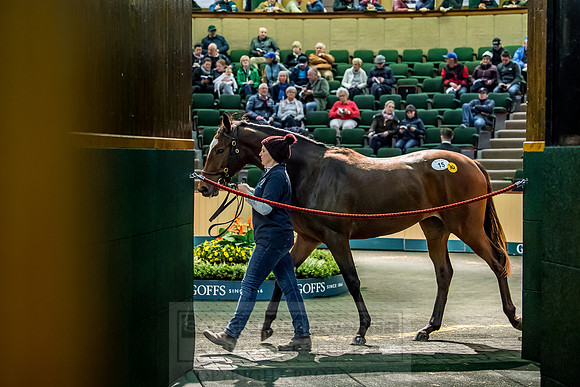 Goffs Orby 2018 Day 1-190