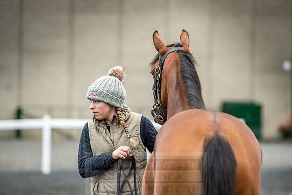Goffs Orby 2018 Day 2-22
