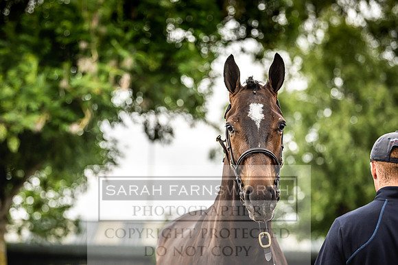 Goffs Land Rover Sale 2022-313